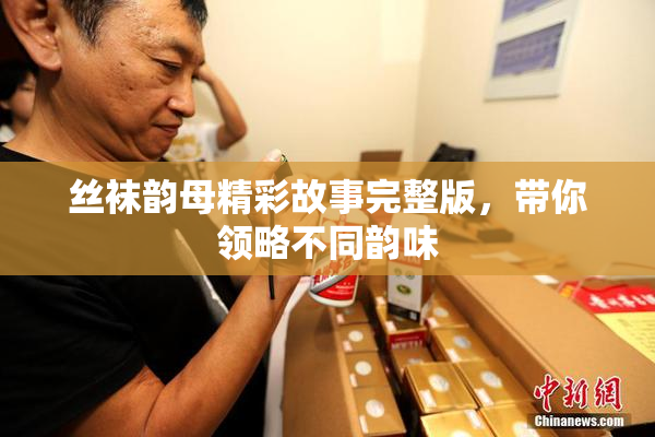 丝袜韵母精彩故事完整版，带你领略不同韵味