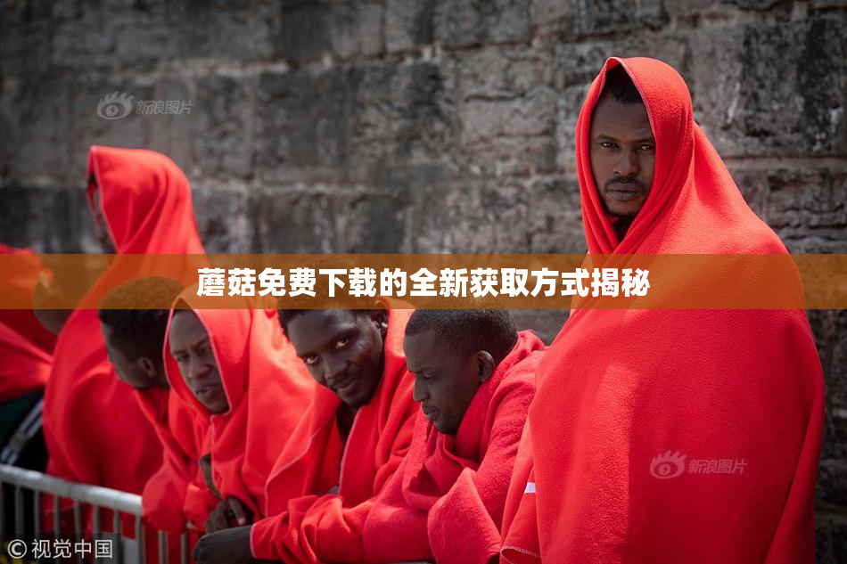 蘑菇免费下载的全新获取方式揭秘