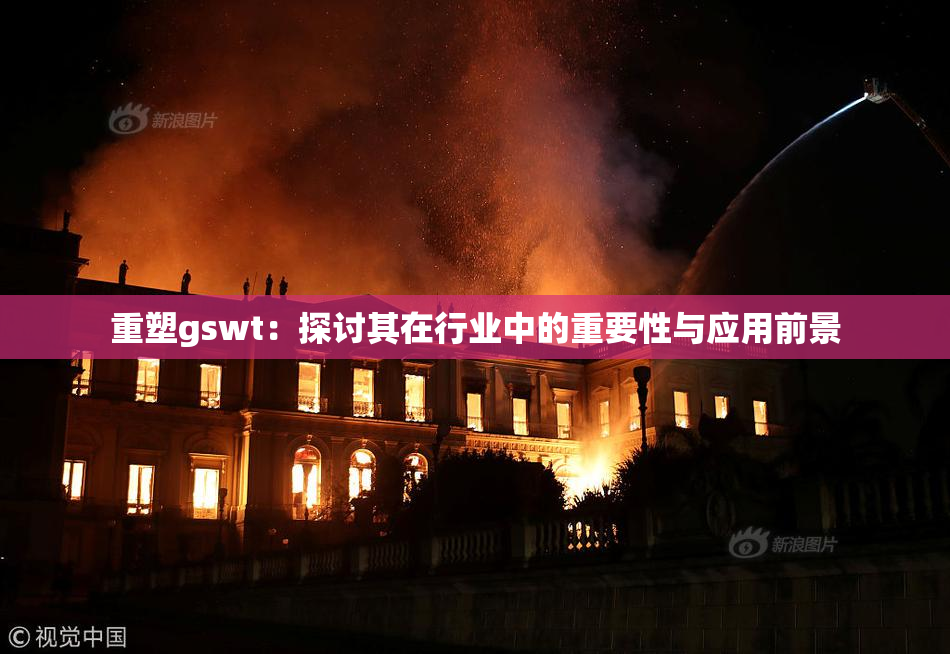 重塑gswt：探讨其在行业中的重要性与应用前景