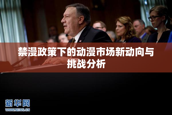 禁漫政策下的动漫市场新动向与挑战分析