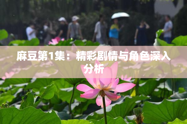 麻豆第1集：精彩剧情与角色深入分析