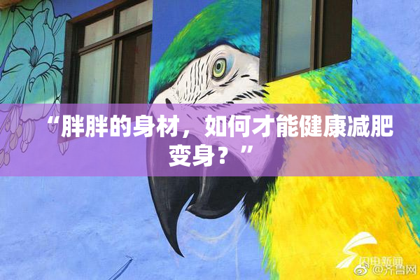 “胖胖的身材，如何才能健康减肥变身？”