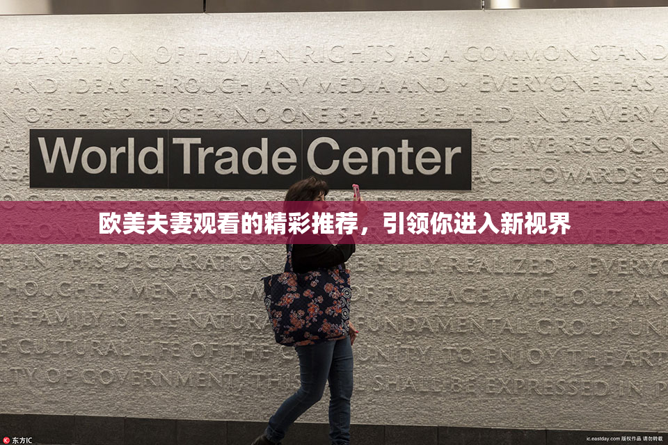 欧美夫妻观看的精彩推荐，引领你进入新视界