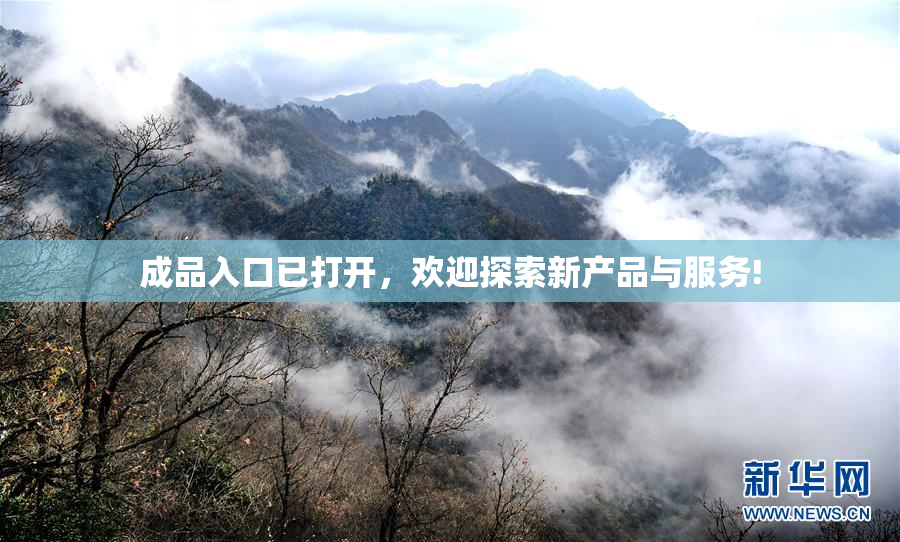 成品入口已打开，欢迎探索新产品与服务!