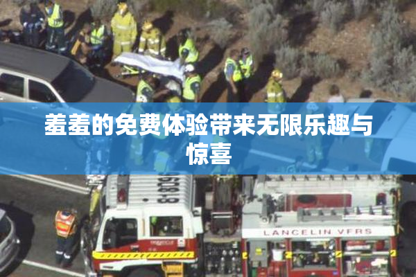 羞羞的免费体验带来无限乐趣与惊喜