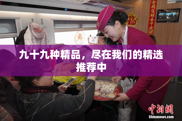 九十九种精品，尽在我们的精选推荐中