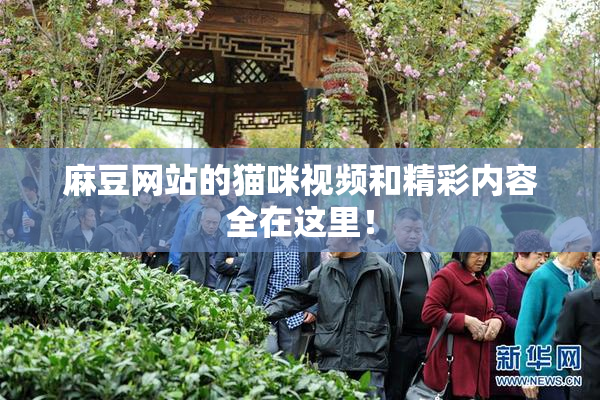 麻豆网站的猫咪视频和精彩内容全在这里！