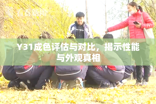 Y31成色评估与对比，揭示性能与外观真相
