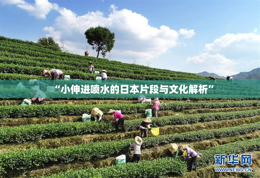 “小伸进喷水的日本片段与文化解析”