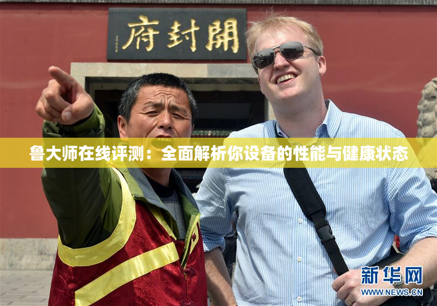鲁大师在线评测：全面解析你设备的性能与健康状态