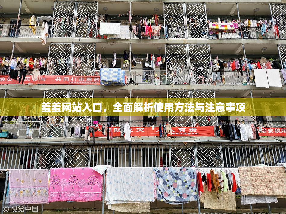 羞羞网站入口，全面解析使用方法与注意事项
