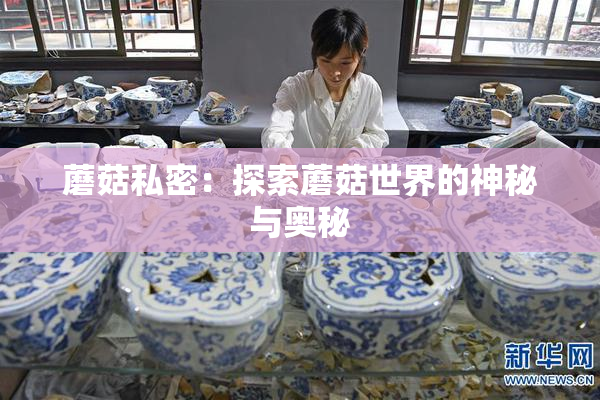 蘑菇私密：探索蘑菇世界的神秘与奥秘
