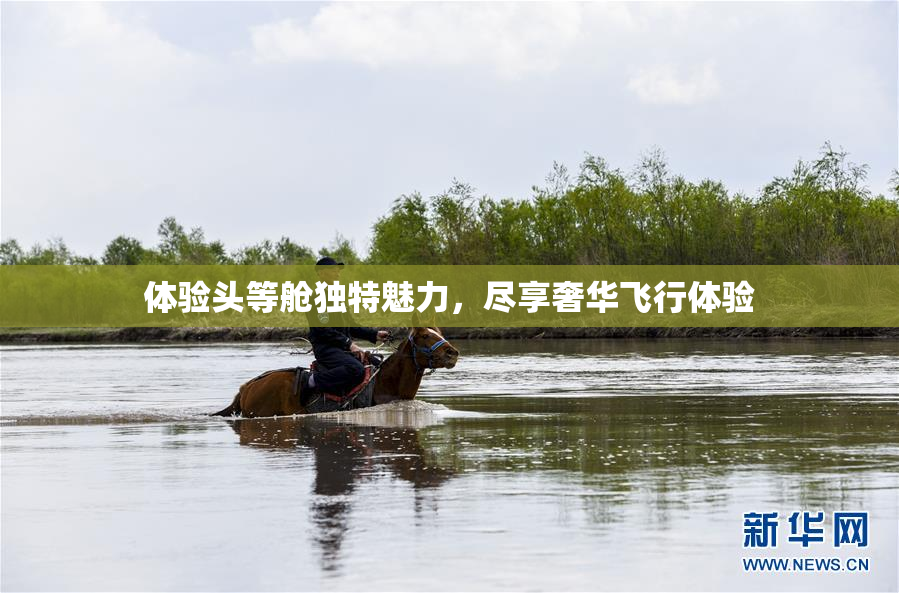 体验头等舱独特魅力，尽享奢华飞行体验