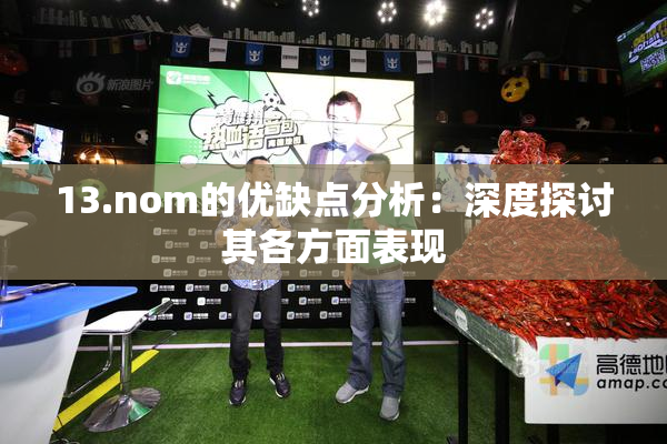 13.nom的优缺点分析：深度探讨其各方面表现