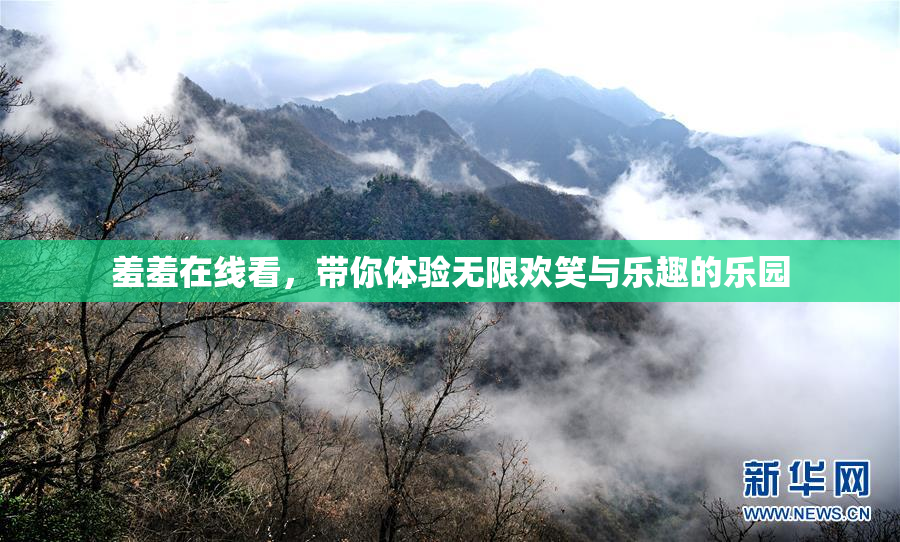 羞羞在线看，带你体验无限欢笑与乐趣的乐园