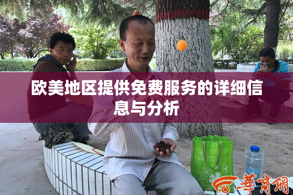 欧美地区提供免费服务的详细信息与分析