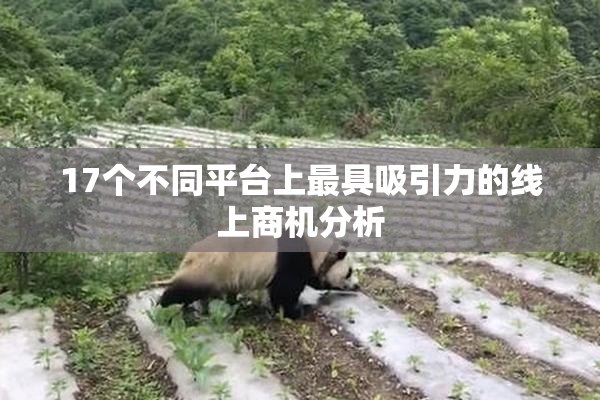 17个不同平台上最具吸引力的线上商机分析