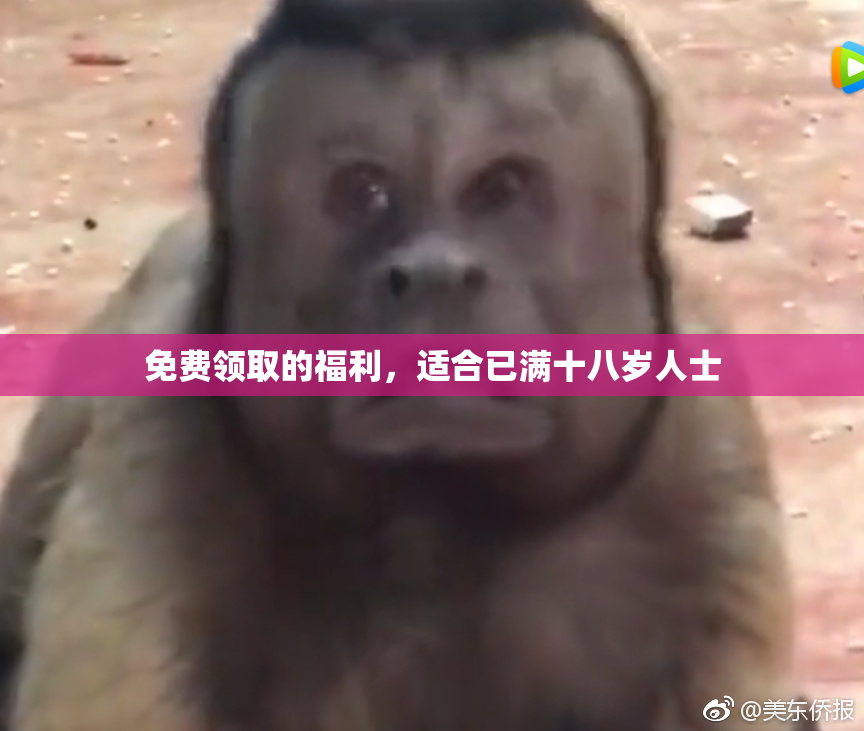 免费领取的福利，适合已满十八岁人士