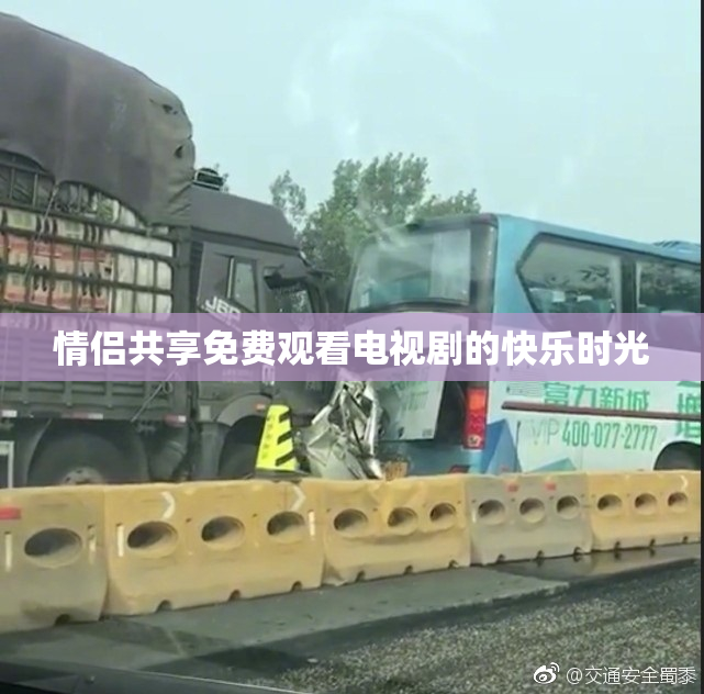 情侣共享免费观看电视剧的快乐时光