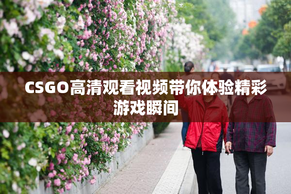 CSGO高清观看视频带你体验精彩游戏瞬间
