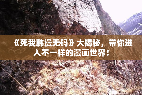 《死我韩漫无码》大揭秘，带你进入不一样的漫画世界！