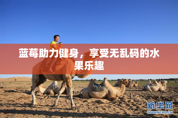 蓝莓助力健身，享受无乱码的水果乐趣