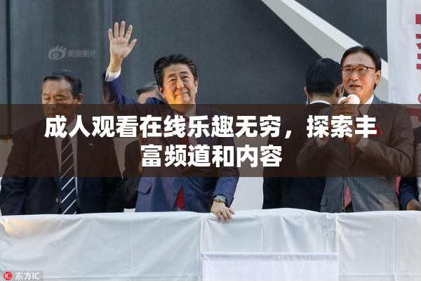 成人观看在线乐趣无穷，探索丰富频道和内容