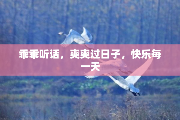 乖乖听话，爽爽过日子，快乐每一天