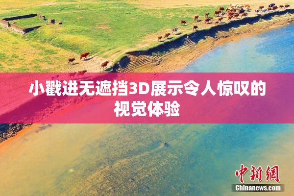 小戳进无遮挡3D展示令人惊叹的视觉体验
