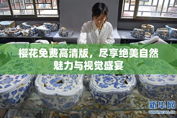 樱花免费高清版，尽享绝美自然魅力与视觉盛宴