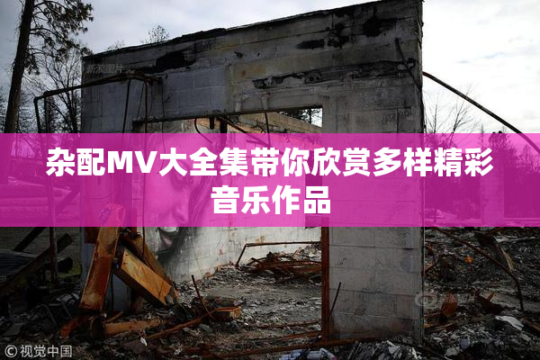 杂配MV大全集带你欣赏多样精彩音乐作品