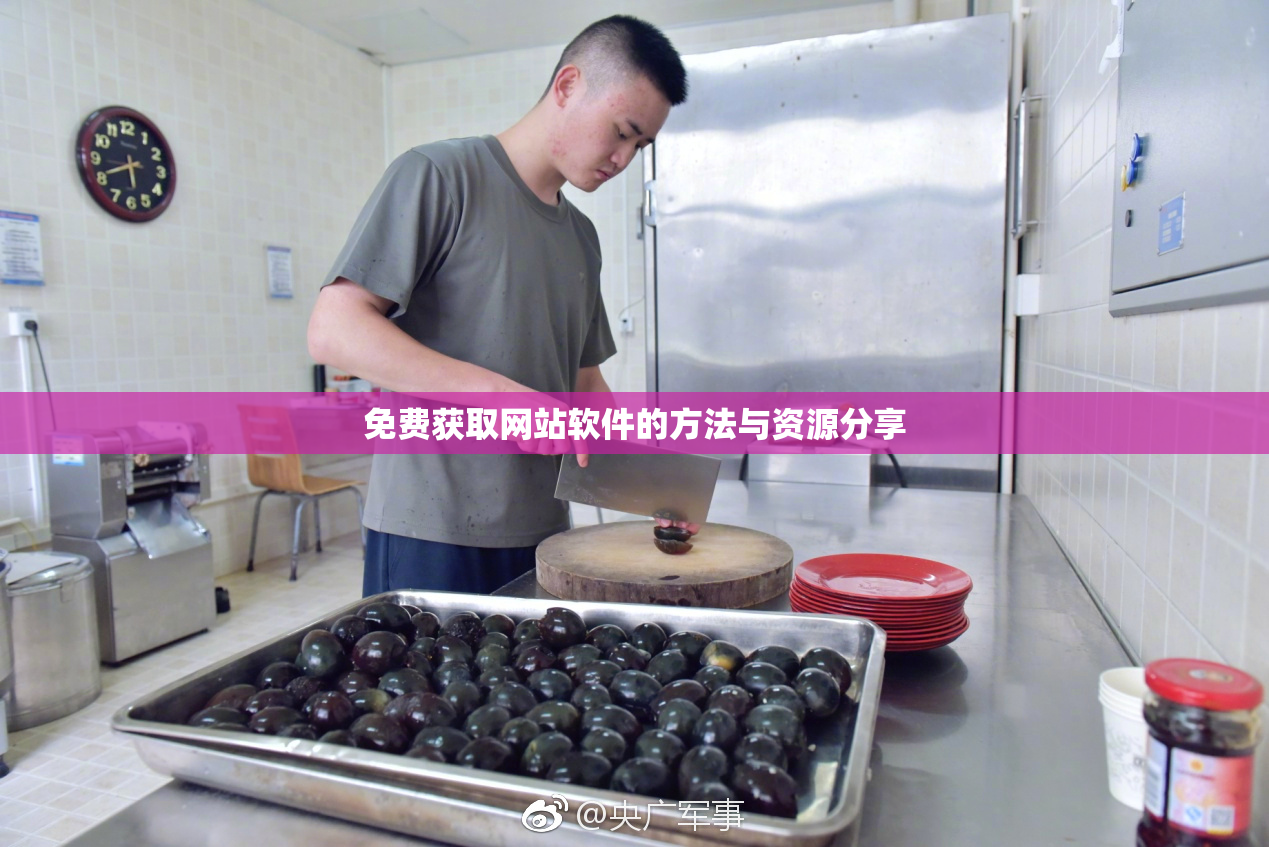 免费获取网站软件的方法与资源分享