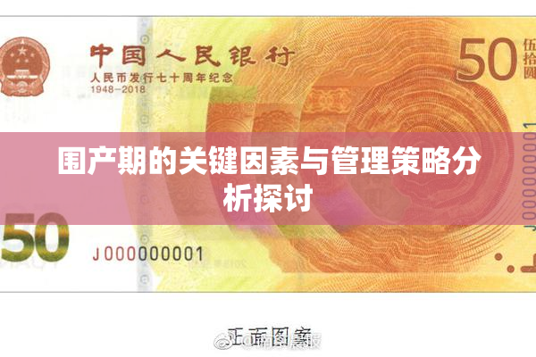 围产期的关键因素与管理策略分析探讨