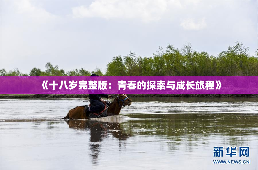 《十八岁完整版：青春的探索与成长旅程》