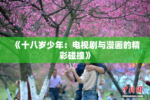 《十八岁少年：电视剧与漫画的精彩碰撞》