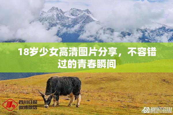 18岁少女高清图片分享，不容错过的青春瞬间