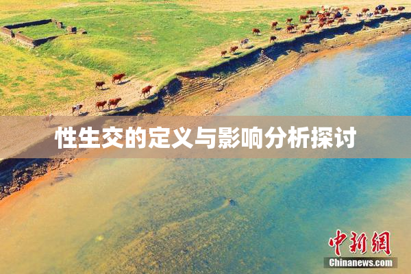 性生交的定义与影响分析探讨