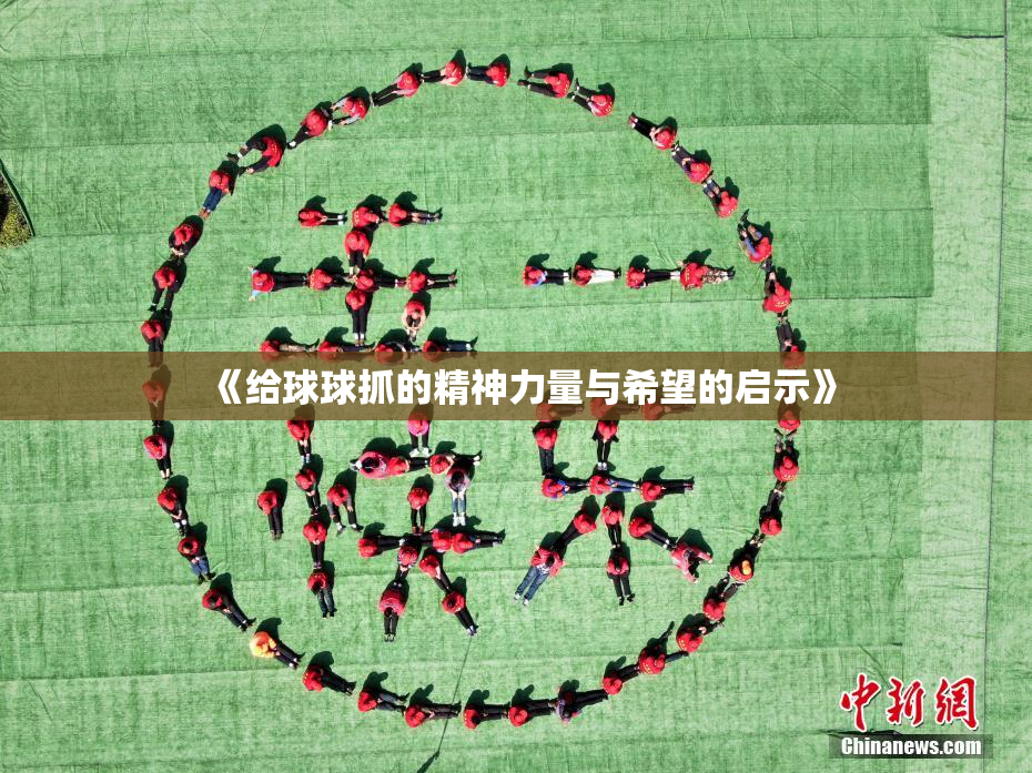 《给球球抓的精神力量与希望的启示》