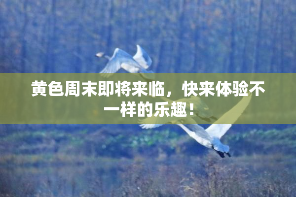 黄色周末即将来临，快来体验不一样的乐趣！