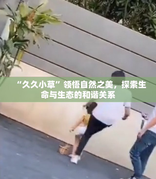 “久久小草”领悟自然之美，探索生命与生态的和谐关系