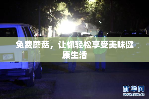 免费蘑菇，让你轻松享受美味健康生活