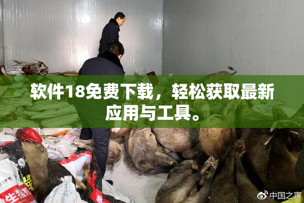 软件18免费下载，轻松获取最新应用与工具。