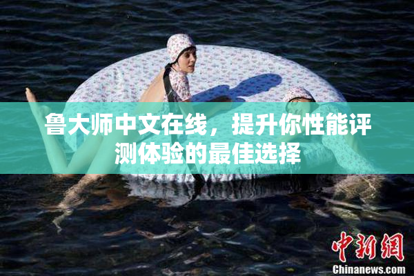 鲁大师中文在线，提升你性能评测体验的最佳选择
