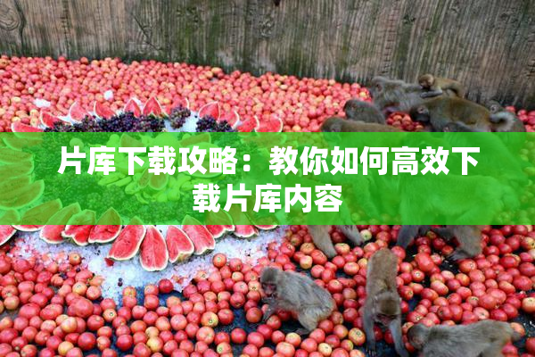 片库下载攻略：教你如何高效下载片库内容