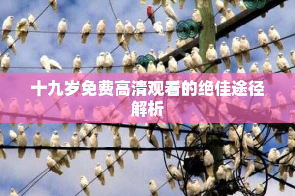 十九岁免费高清观看的绝佳途径解析
