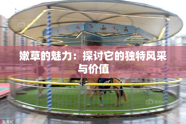 嫩草的魅力：探讨它的独特风采与价值