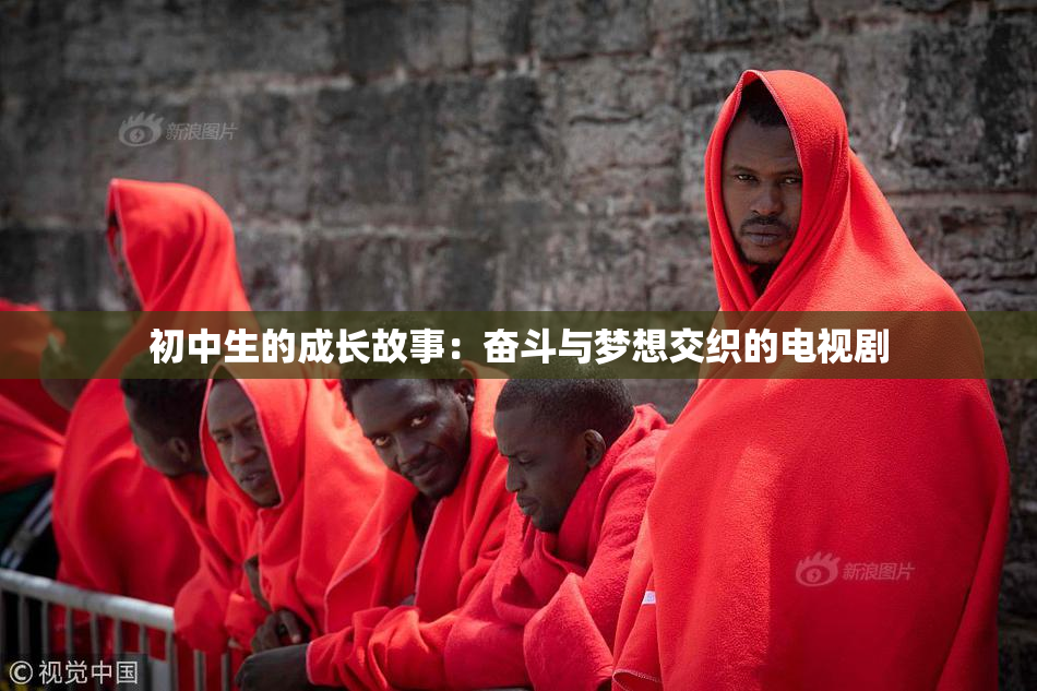 初中生的成长故事：奋斗与梦想交织的电视剧