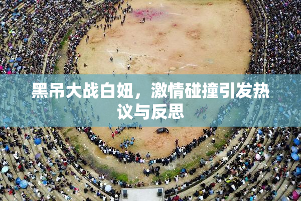黑吊大战白妞，激情碰撞引发热议与反思