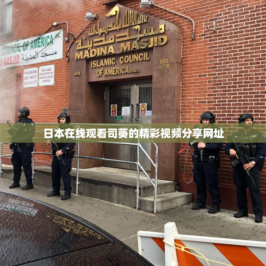 日本在线观看司葵的精彩视频分享网址