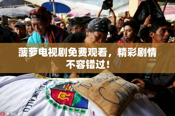 菠萝电视剧免费观看，精彩剧情不容错过！
